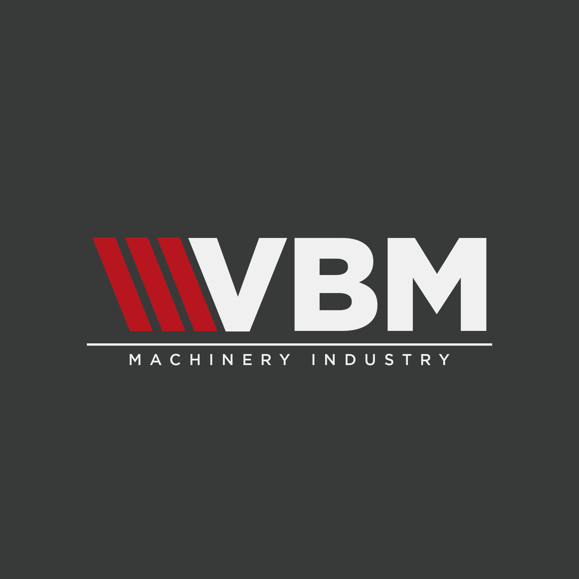 VBM PLUS